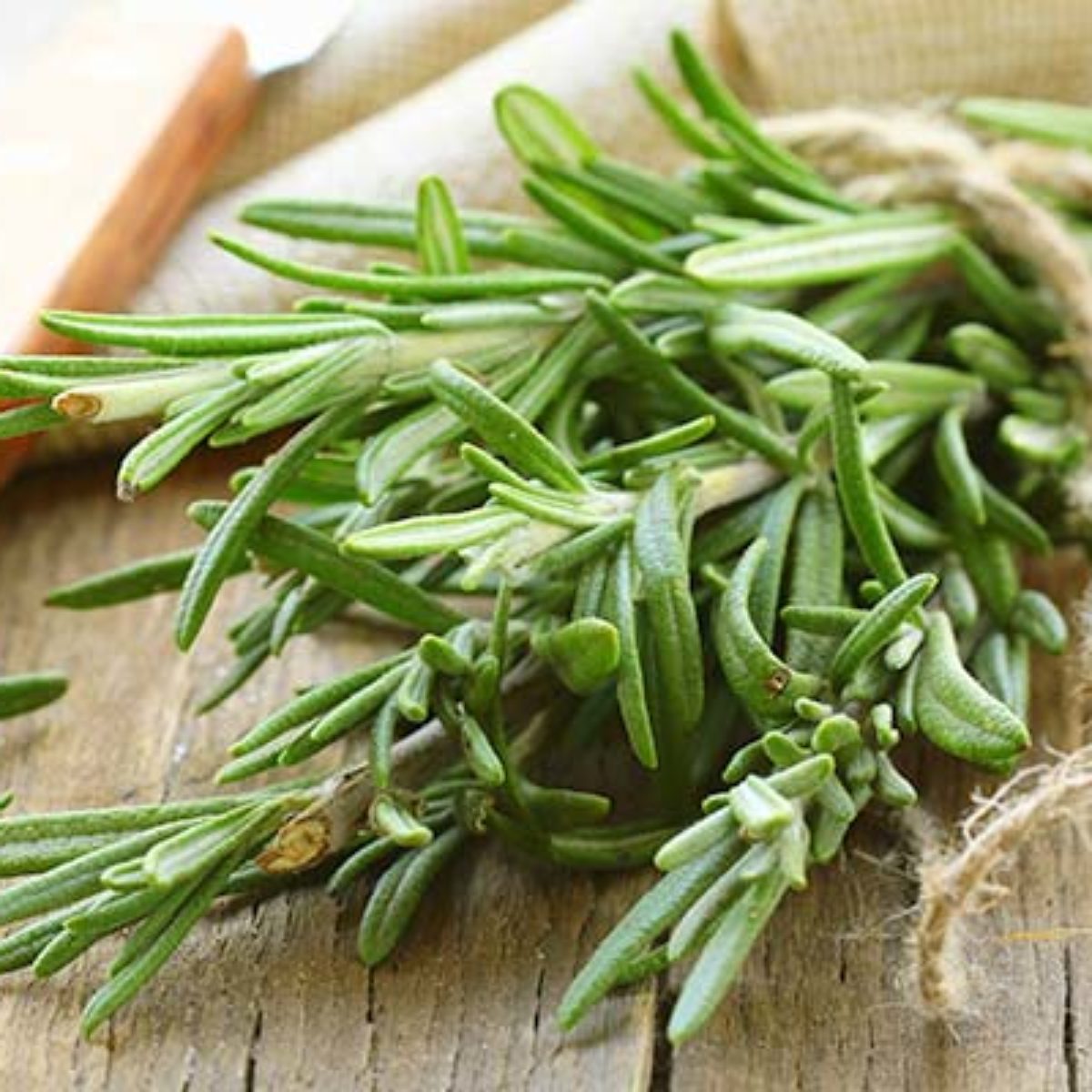 Azienda Agricola Biologica Filippone di Piante Aromatiche della Sicilia e delle Madonie: Origano, Lavanda, Finocchietto, Timo, Rosmarino, Salvia, Alloro, Peperoncino